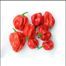 Load image into Gallery viewer, Pre-order RCK, Sam Jones&#39;s legendary Three Chilli Sauce Collection